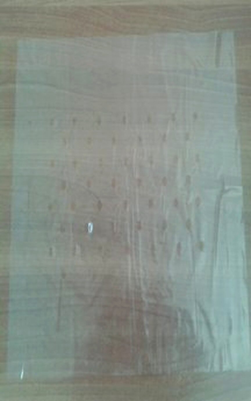 Girocassa paper for packing apples in wooden boxes - 3
