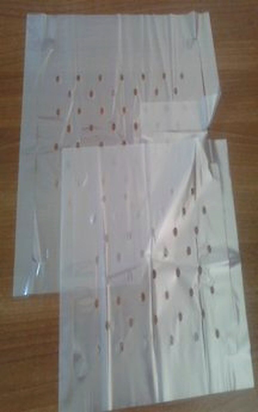 Girocassa paper for packing apples in wooden boxes - 4